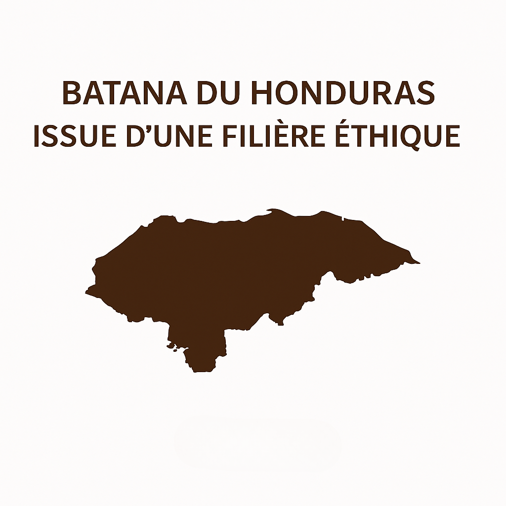 Huile naturelle pour la croissance des cheveux Batana+ BOTANIX